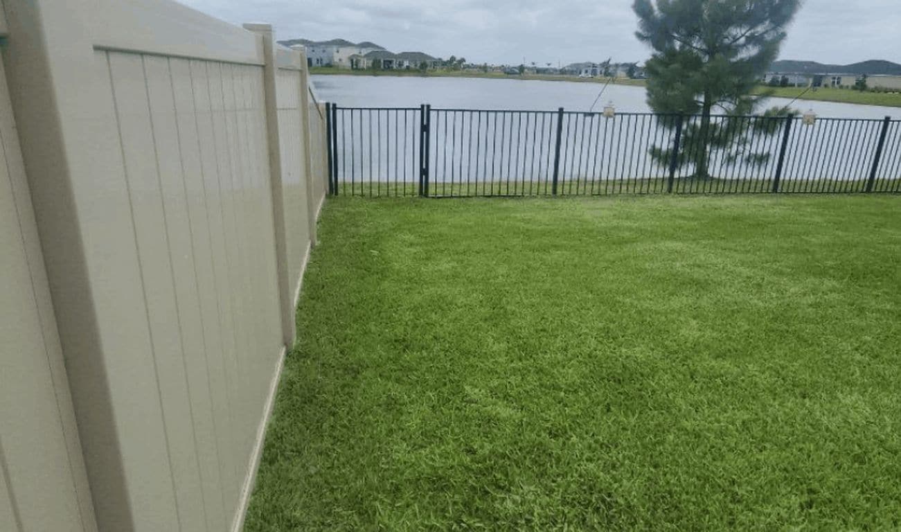Lawn Mowing